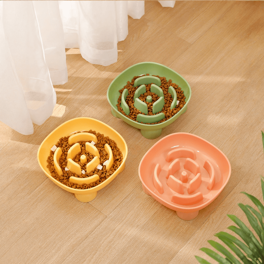 Curated visual reference: Cup Slow Feeder Dog Bowls For Medium And Large Breed Photo Inspiration