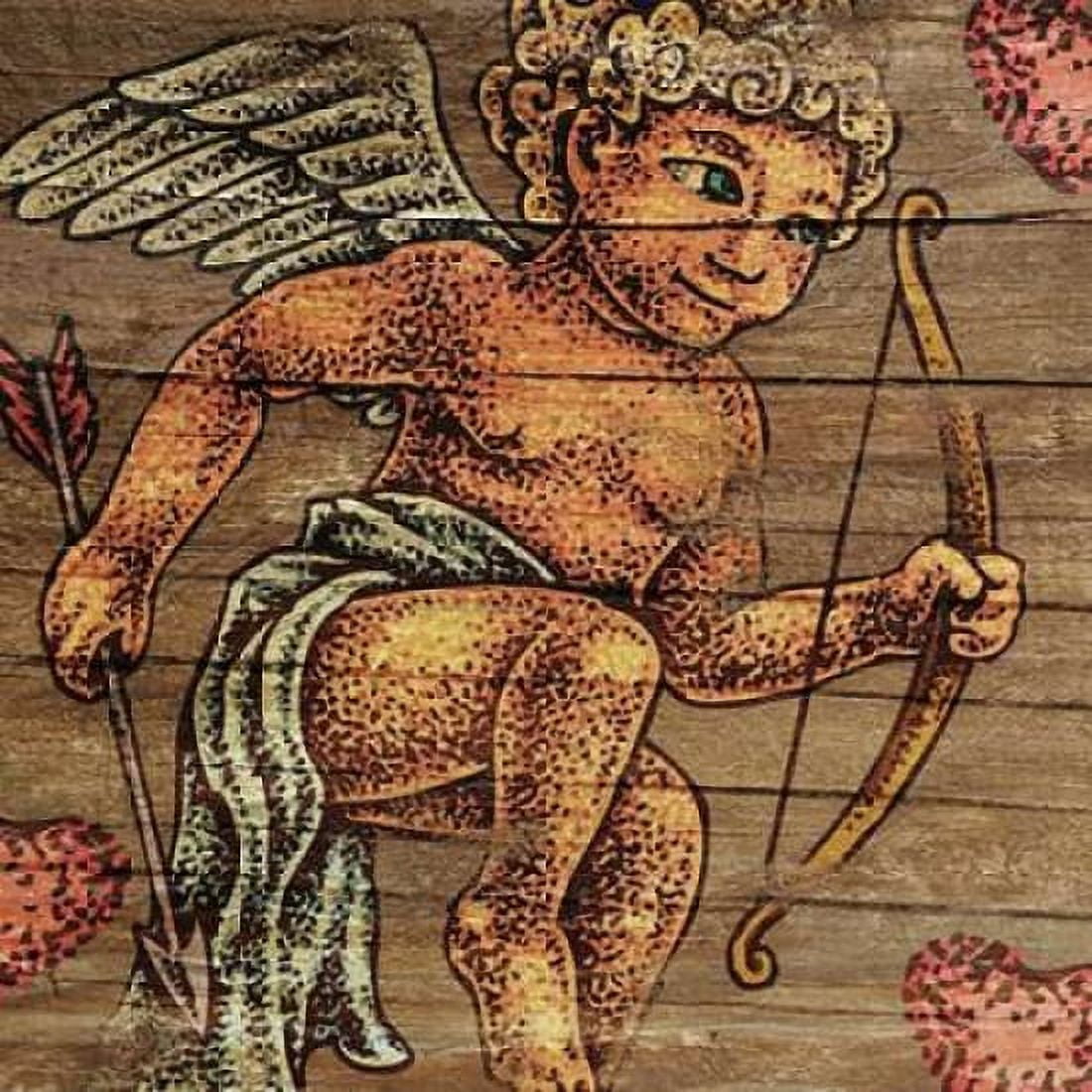 Cupids Arrow Canvas Art - BoMo (24 x 24)