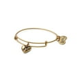 thumbnail image 1 of Cupids Heart Charm Bangle, 1 of 3