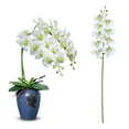 thumbnail image 1 of Curated Selection Shiogb Tall Orchid Artificial Flower Real Flower for Wedding Decorations Detailed Leaves and A Glossy Texture, Simulated Short 9-Forked Phalaenopsis Orchid 69Cm, White, 1 of 5