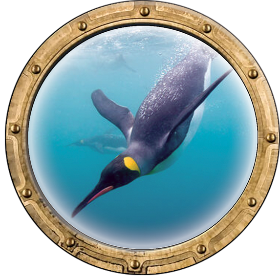Curb-N-Sign® Wall Decal Porthole, Super Reflective 3D Wall Sticker Peel and Stick Decor, 12 Month Warranty ( Penguin, 9" Diameter)