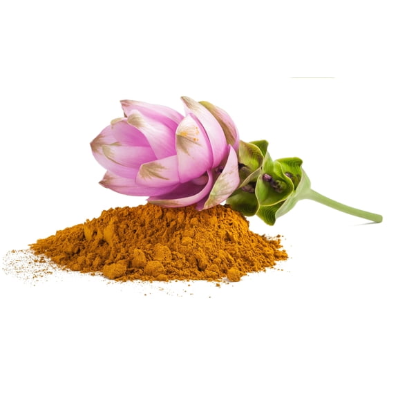 Curcumin Extract Powder