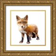 thumbnail image 1 of Curinga, Kim 12x12 Gold Ornate Wood Framed with Double Matting Museum Art Print Titled - Lil Fox Standing, 1 of 4