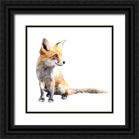 Curinga, Kim 15x15 Black Ornate Wood Framed with Double Matting Museum Art Print Titled - Inquisitive Fox