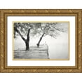 thumbnail image 1 of Curinga, Kim 18x13 Gold Ornate Wood Framed with Double Matting Museum Art Print Titled - Misty Dock, 1 of 4
