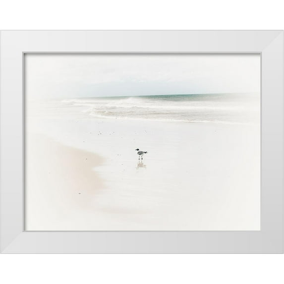 Curinga, Kim 18x15 White Modern Wood Framed Museum Art Print Titled - Bleached Bird