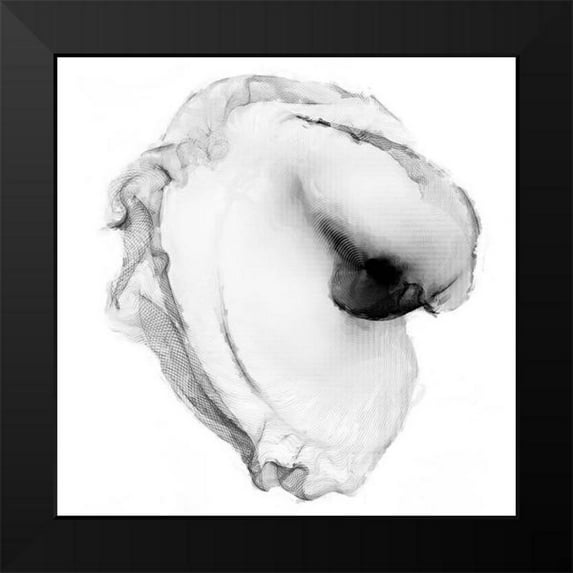 Curinga, Kim 20x20 Black Modern Framed Museum Art Print Titled - Veiled Illusions 70