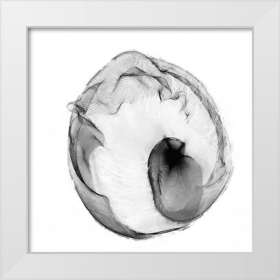 Curinga, Kim 20x20 White Modern Wood Framed Museum Art Print Titled - Veiled Illusions I
