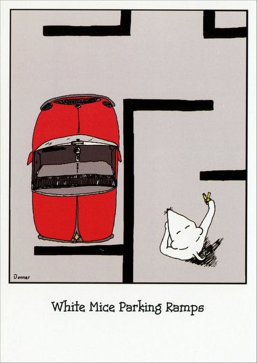 Curiosities Greeting Cards White Mice Funny / Humorous Birthday Card