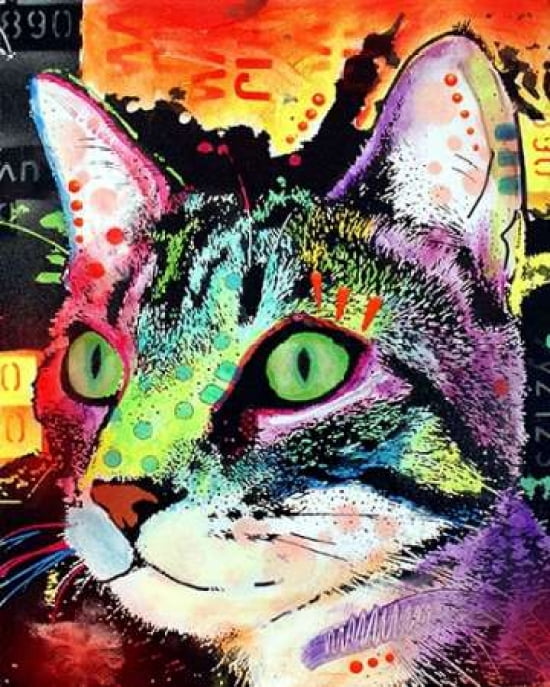 Curiosity Cat Canvas Art - Dean Russo (22 x 28)
