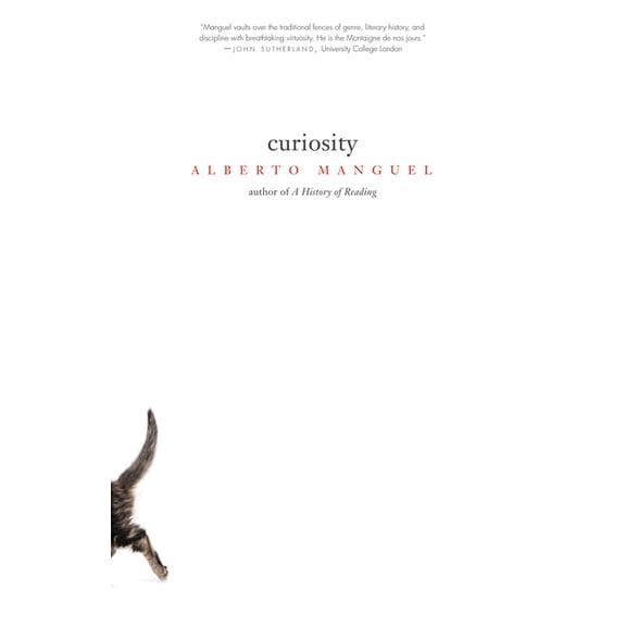 Pre-Owned Curiosity, (Paperback)