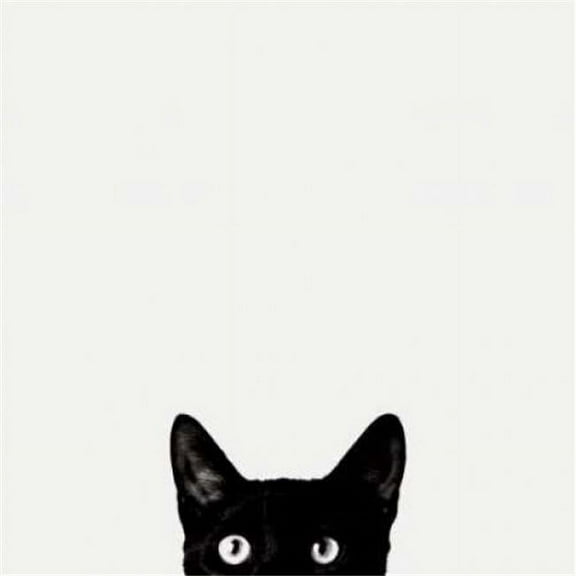 Curiosity Poster Print by Jon Bertelli