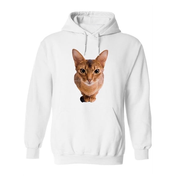 Curious Abyssinian Cat Close Up Hoodie Women -Image by Shutterstock, Female x-Large