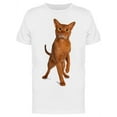 thumbnail image 1 of Curious Abyssinian Kitten T-Shirt Men -Image by Shutterstock, Male Small, 1 of 2