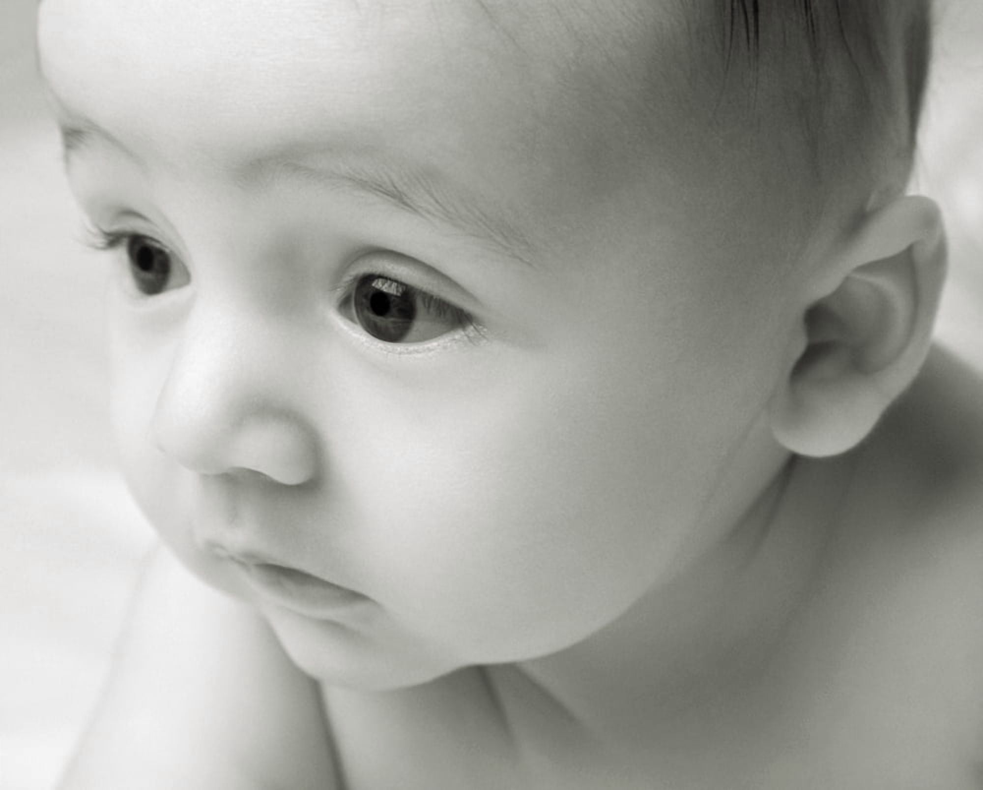Curious Baby Canvas Art - Kelly Redinger Design Pics (32 x 24)