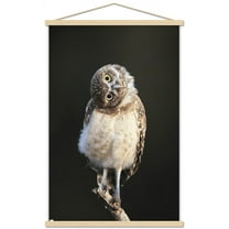 Curious Burrowing Owlet Wall Poster with Magnetic Frame, 22.375" x 34"