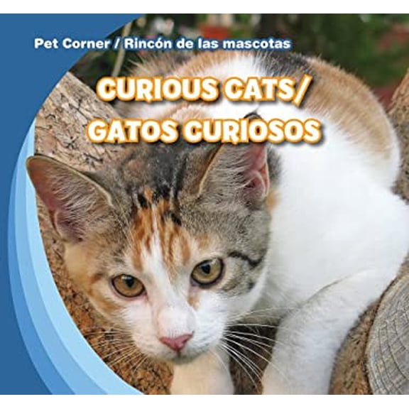 Pre-Owned Curious Cats : Gatos Curiosos 9781433955907 Used