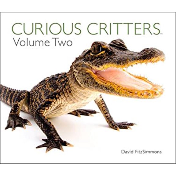 Pre-Owned Curious Critters Volume Two (Hardcover) 1936607700 9781936607709