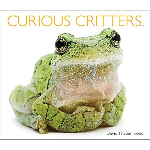 Pre-Owned Curious Critters (Hardcover) 1936607697 9781936607693