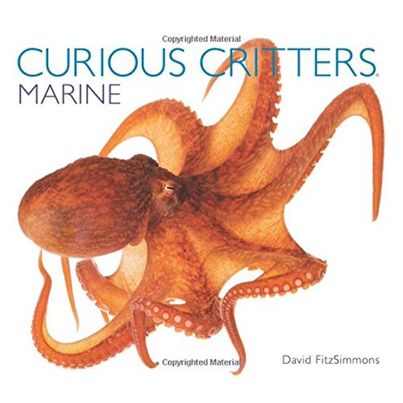 Pre-Owned Curious Critters : Marine (Paperback) 9781936607723