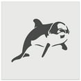 thumbnail image 1 of Curious Dolphin DIY Cookie Wall Craft Stencil - 9.0 Inch, 1 of 5