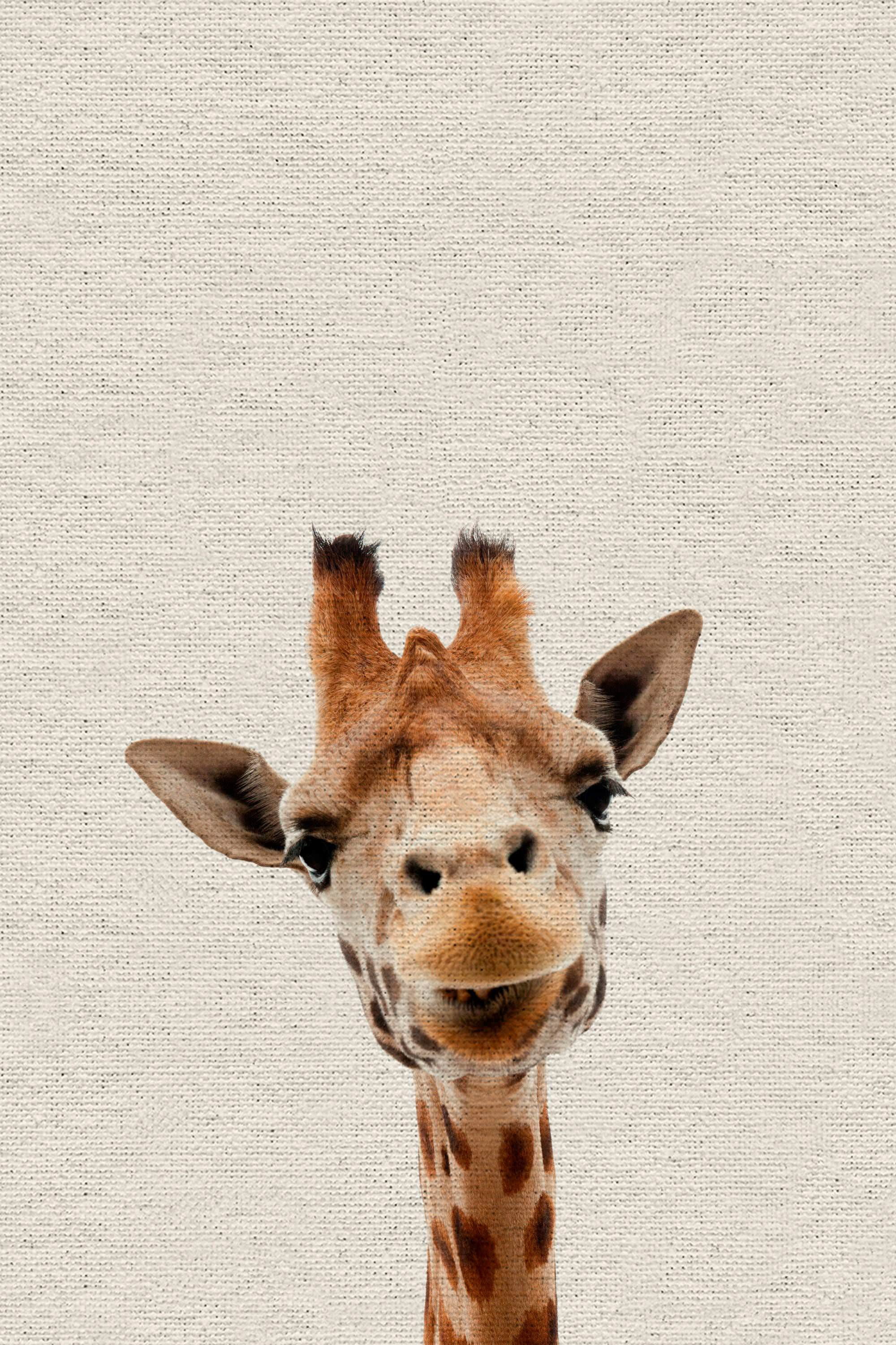 Curious Giraffe Painting Print on Wrapped Canvas