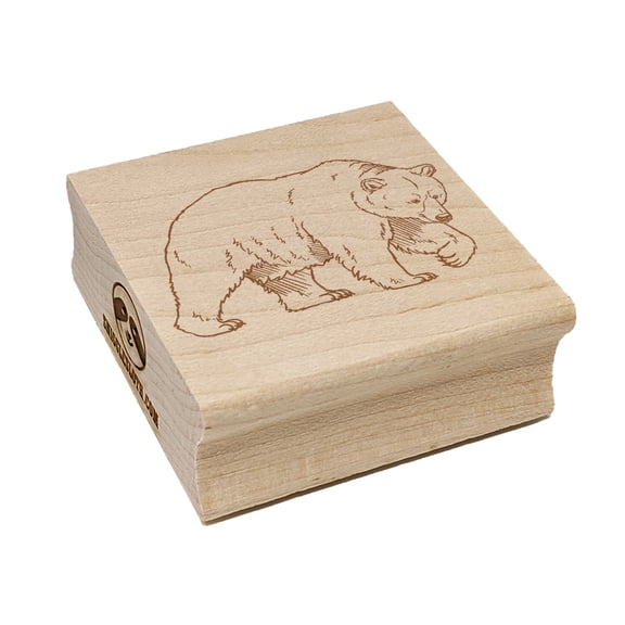 Curious Grizzly Bear Square Rubber Stamp Stamping Scrapbooking Crafting - Medium 1.75in