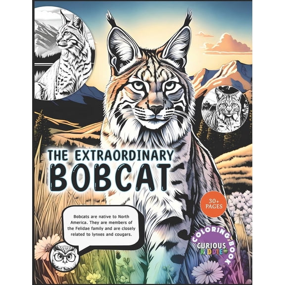 Curious Kiddie The Extraordinary Bobcat, kids 5-16, Big Cat Coloring Book: Educational Coloring Book, (Paperback)