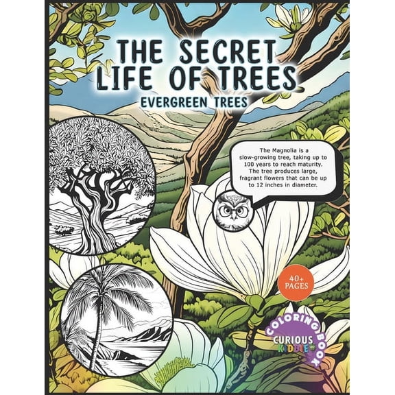 Curious Kiddie The Secret Life of Trees: Evergreen Trees, Kids 5-16, Forest Coloring Book: Educational Coloring Book, (Paperback)