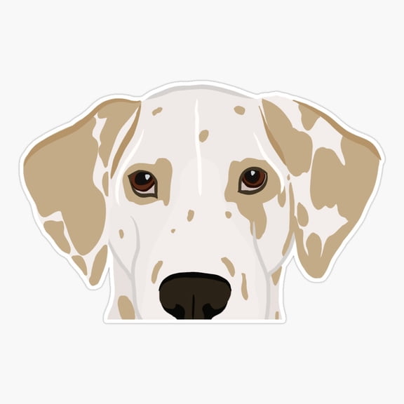 Curious Lemon/Yellow Dalmatian - Large Spots Er, Phone Decal Water Bottle Stickers Car Decals, Funny Birthday Gift