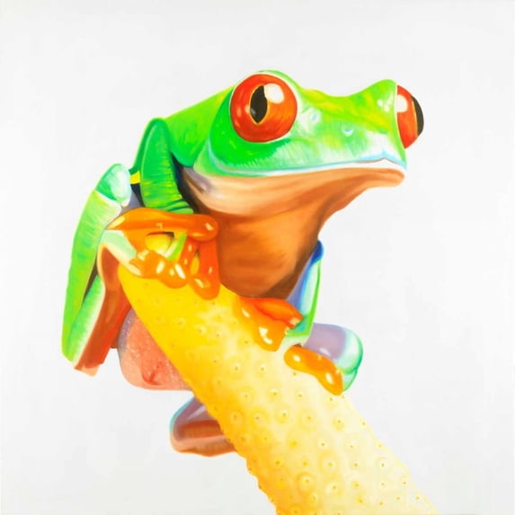 Curious Red-eyed Frog Poster Print by Atelier B Art Studio (12 x 12)