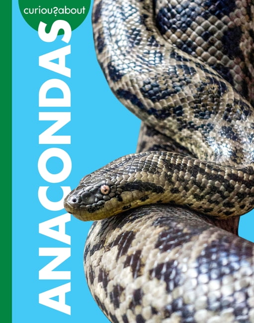 Curious about Anacondas, (Paperback)