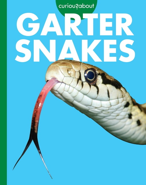 Curious about Garter Snakes, (Paperback)