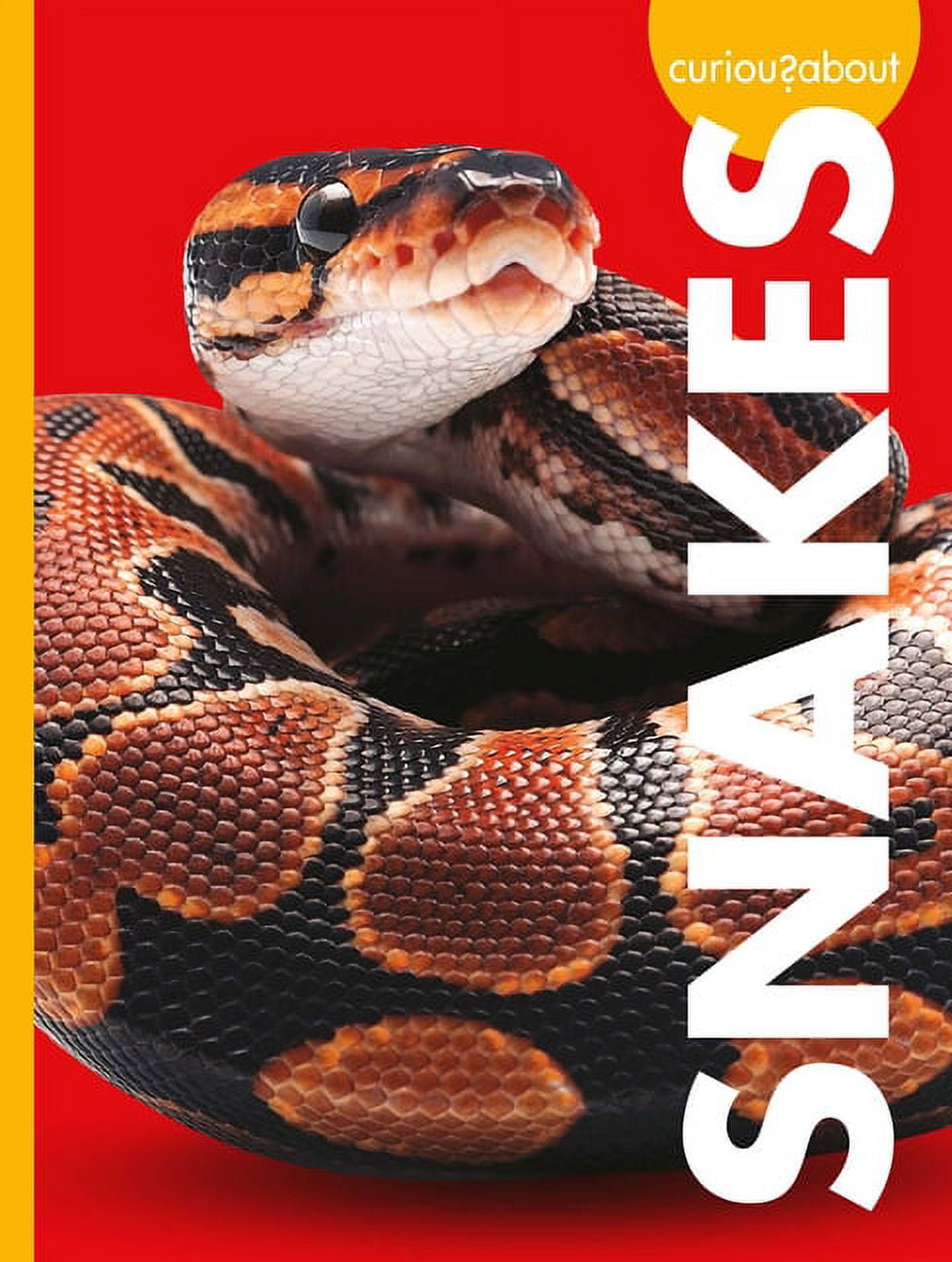 Curious about Snakes - (Curious about Pets) by  Alissa Thielges (Paperback)