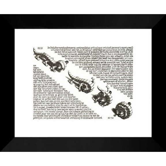 Curl Up 20x24 Framed Art Print by M.C. Escher