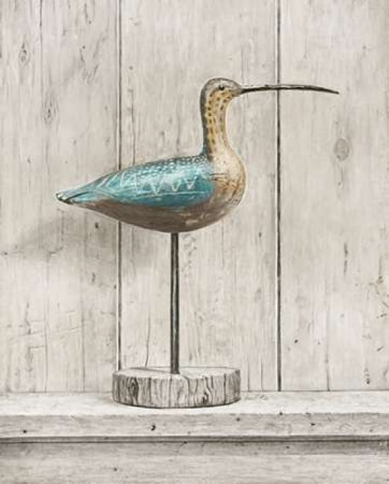 Curlew Canvas Art - Arnie Fisk (20 x 24)