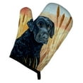 thumbnail image 1 of Curly Coated Retriever Oven Mitt, 1 of 7