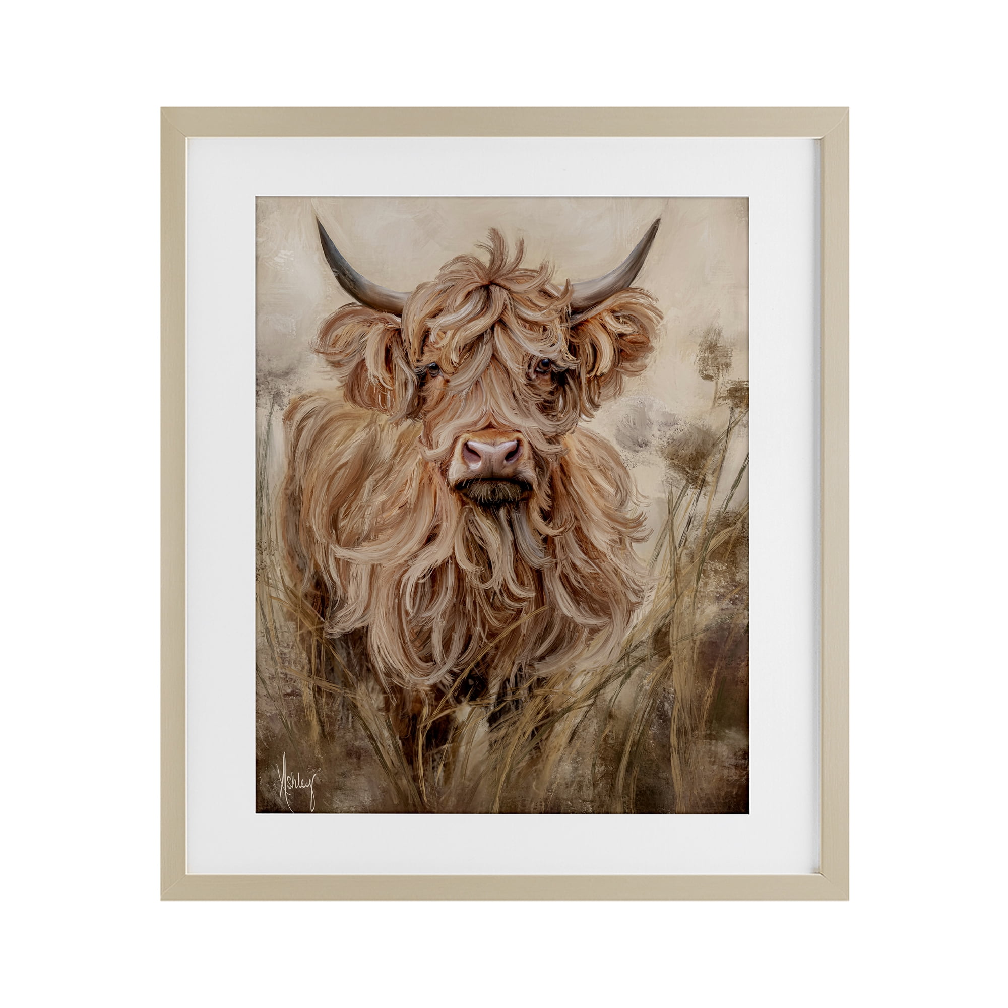 Curly Haired Highland Cattle Birch Framed Print Under Glass, design by Ashley Bradley