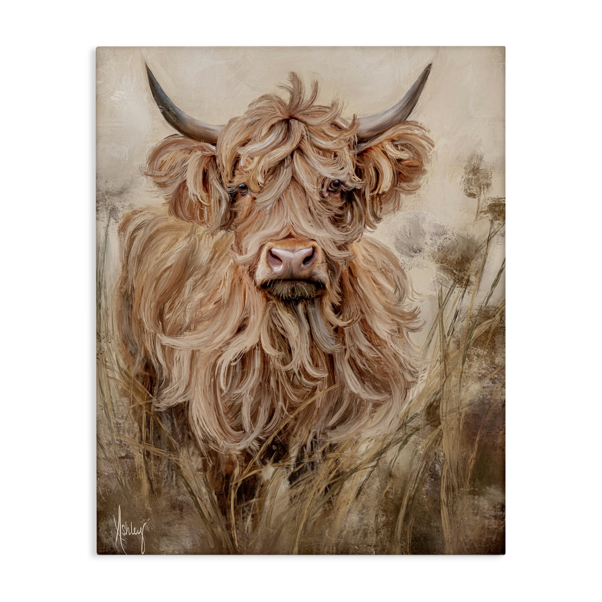 Curly Haired Highland Cattle Canvas Wall Art, design by Ashley Bradley