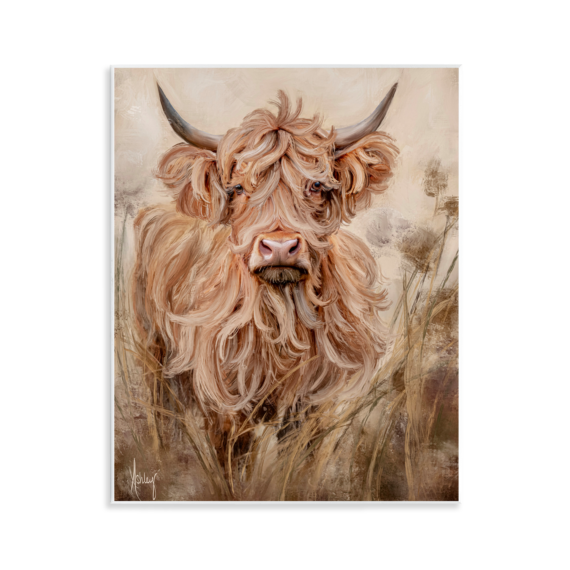 Curly Haired Highland Cattle Wall Plaque Art, design by Ashley Bradley