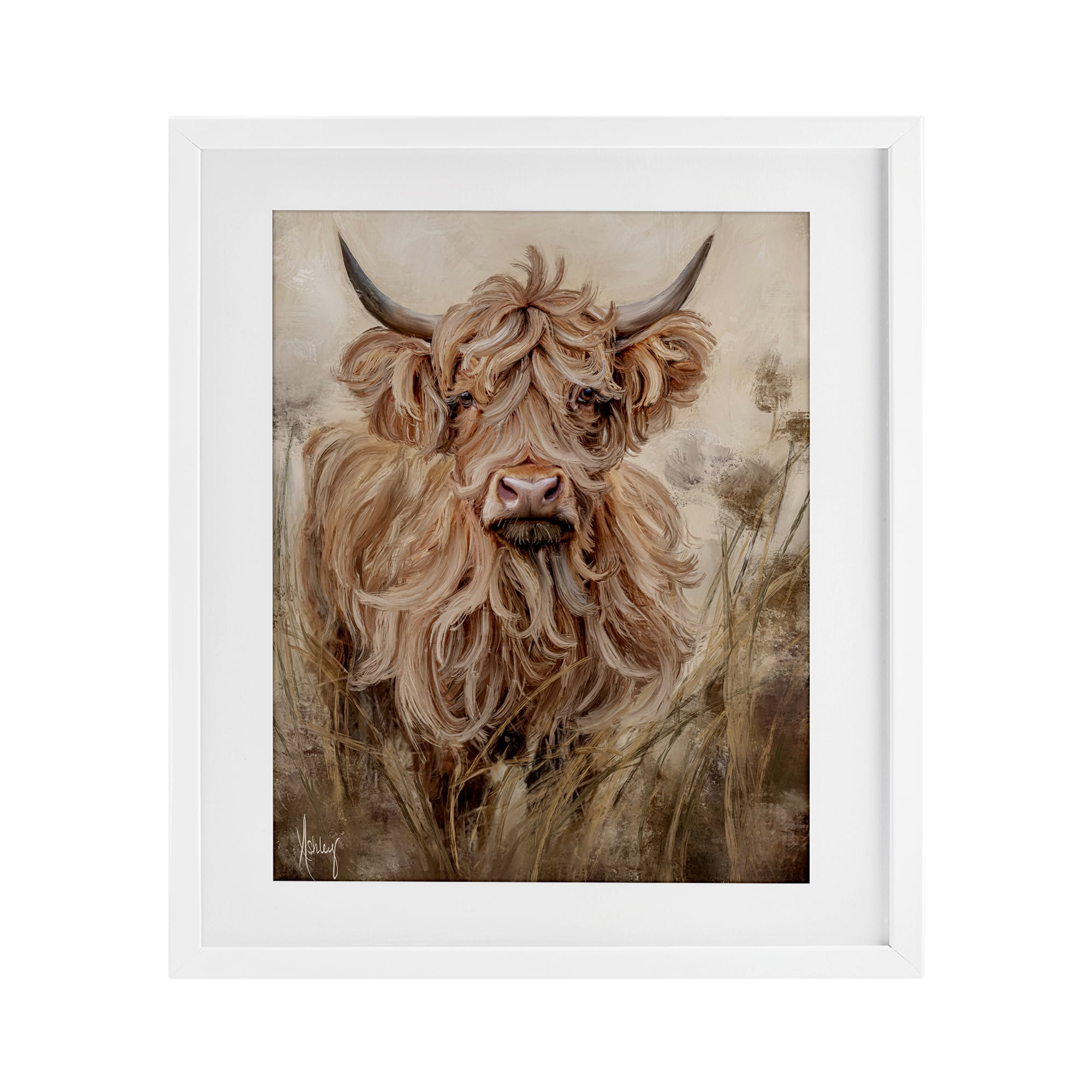Curly Haired Highland Cattle White Framed Print Under Glass, design by Ashley Bradley