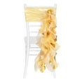 thumbnail image 1 of Curly Willow Chair Sash - Bright Gold Approx. 29" Long & 14 Strands 10Pk for Wedding, Birthday, Party and Events, 1 of 2