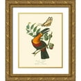 thumbnail image 1 of Curmer, L. 15x18 Gold Ornate Wood Framed with Double Matting Museum Art Print Titled - Nature Jardin III, 1 of 4