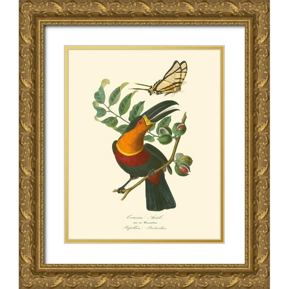 Curmer, L. 15x18 Gold Ornate Wood Framed with Double Matting Museum Art Print Titled - Nature Jardin III