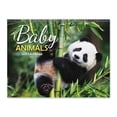 thumbnail image 1 of Current 2027 Baby Animals Wall Calendar, 12-Inch x 9-Inch Size Closed, 18-Inch Size Open, Large Bookstore-Quality, Spiral-Bound Hanging Monthly Wall Calendars for Kitchen & Office, 1 of 9