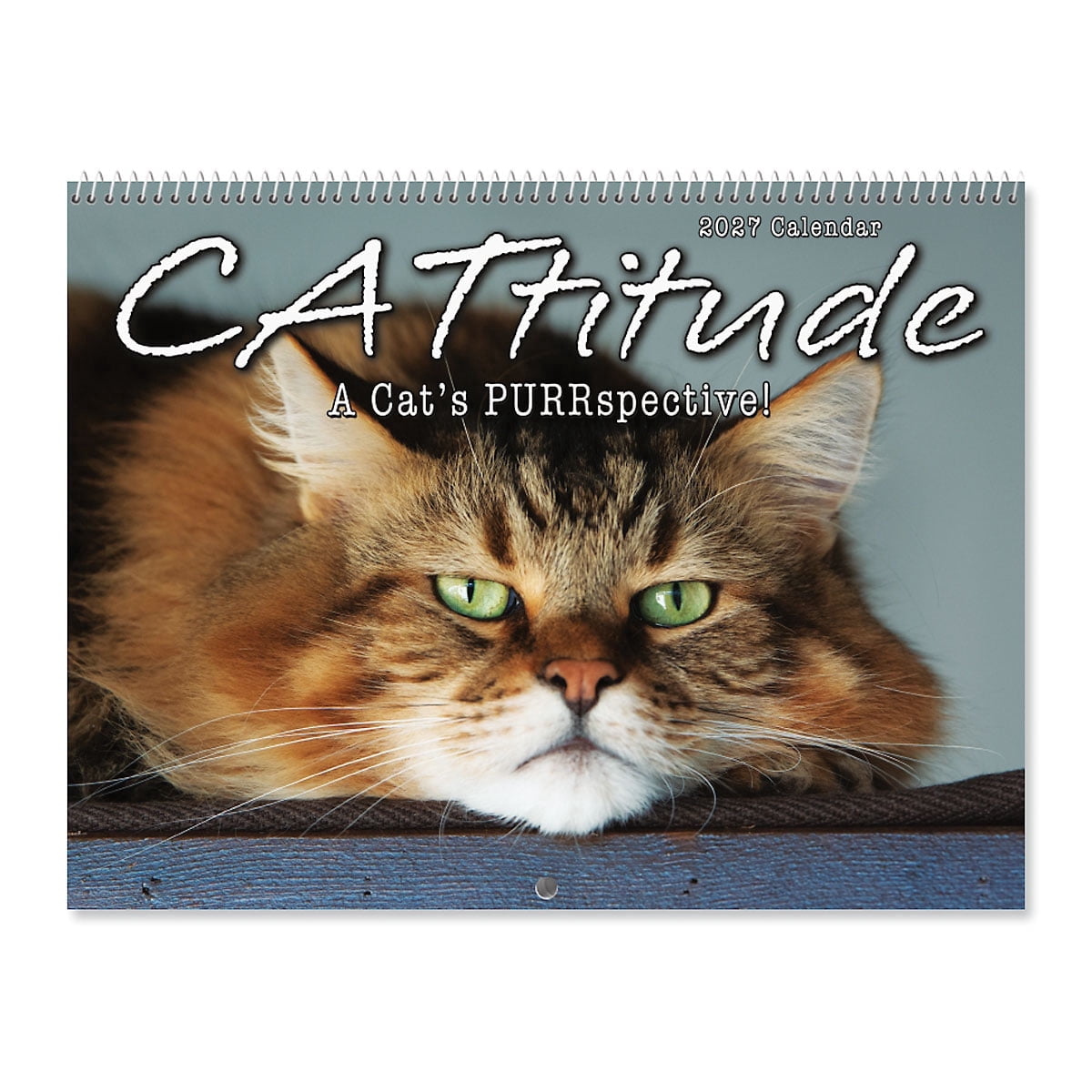 Snacking 2027 Current 2027 Cattitudes Cat Wall Calendar, 9