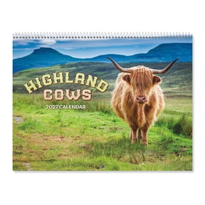 Current 2027 Highland Cows Calendar,  12-Inch x 9-Inch Size Closed, 18-Inch Size Open, Large Bookstore-Quality, Spiral-Bound Hanging Monthly Wall Calendars for Kitchen & Office