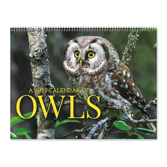 Current 2027 Owls Wall Calendar, 12-Inch x 9-Inch Size Closed, 18-Inch Size Open, Large Bookstore-Quality, Spiral-Bound Hanging Monthly Wall Calendars for Kitchen & Office