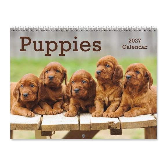 Current 2027 Puppies Wall Calendar, 12-Inch x 9-Inch Size Closed, 18-Inch Size Open, Large Bookstore-Quality, Spiral-Bound Hanging Monthly Wall Calendars for Kitchen & Office