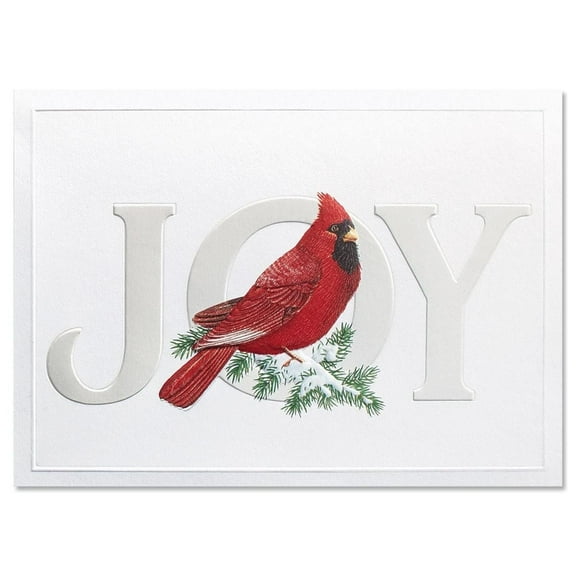 Current Cardinal Joy Christmas Greeting Cards, Red, Set of 14, 5 x 7 Inches